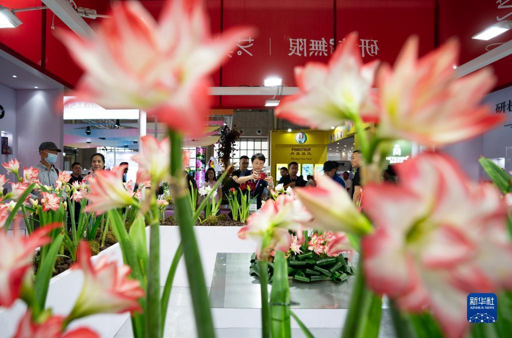 开户即送18元无需申请